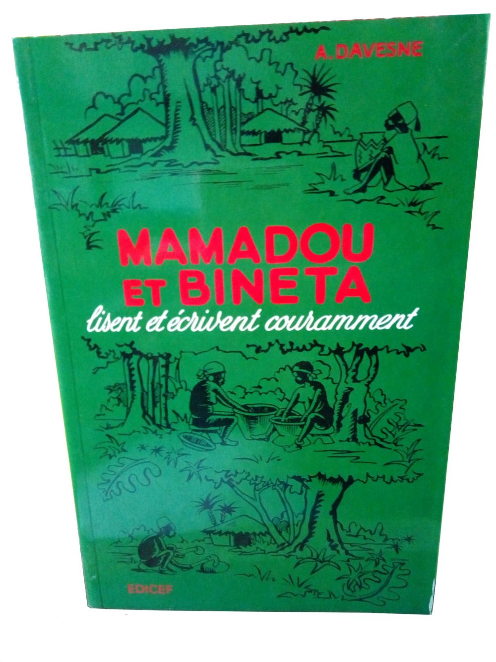 MAMADOU et BINETA lisent et écrivent couramment