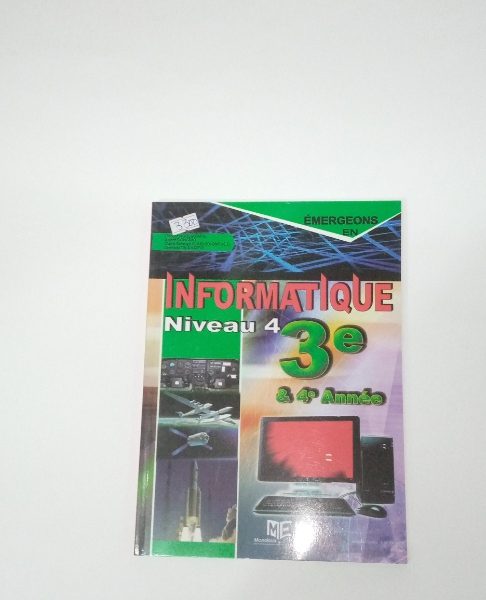 Emergeons en informatique